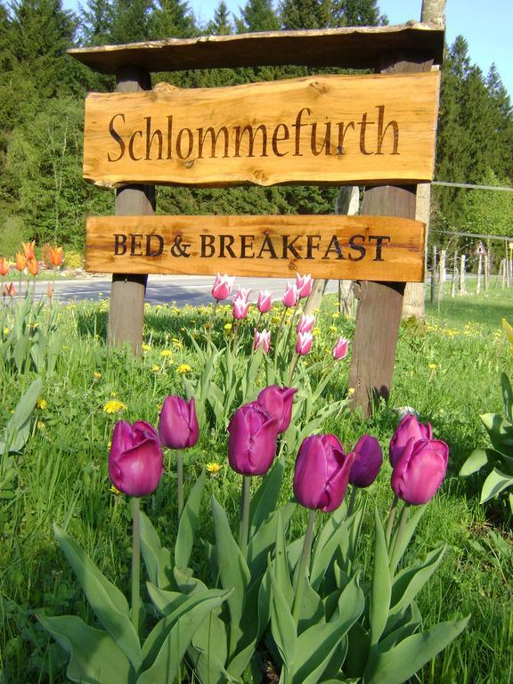 Bed & Breakfast Schlommefurth Bed and Breakfast St. Vith Εξωτερικό φωτογραφία