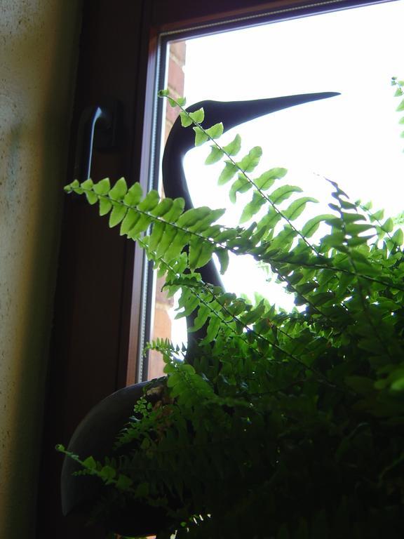 Bed & Breakfast Schlommefurth Bed and Breakfast St. Vith Δωμάτιο φωτογραφία